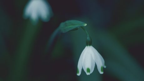 tomoko-uji-601010-unsplash