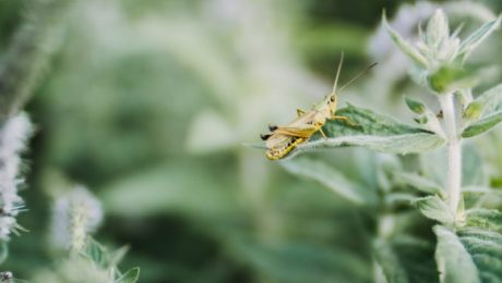 anton-darius-thesollers-340465-unsplash