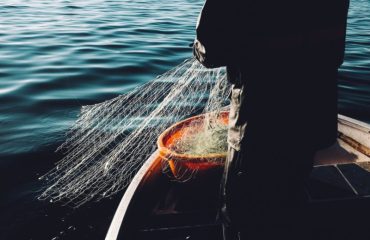 fredrik-ohlander-401681-unsplash