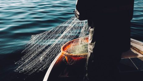 fredrik-ohlander-401681-unsplash