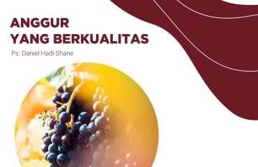 Anggur yang berkualitas_200708